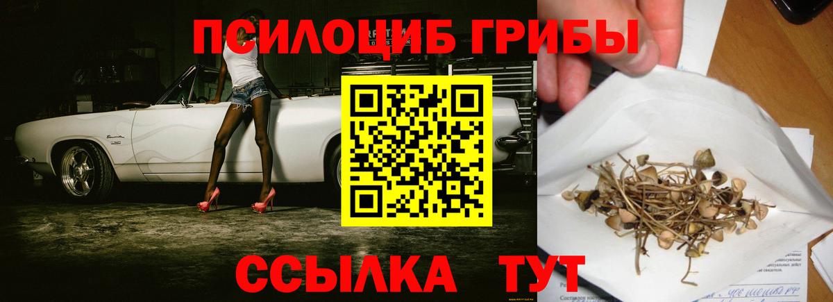 Кстово  Галлюциногенные грибы Psilocybe  Вход с VPN 