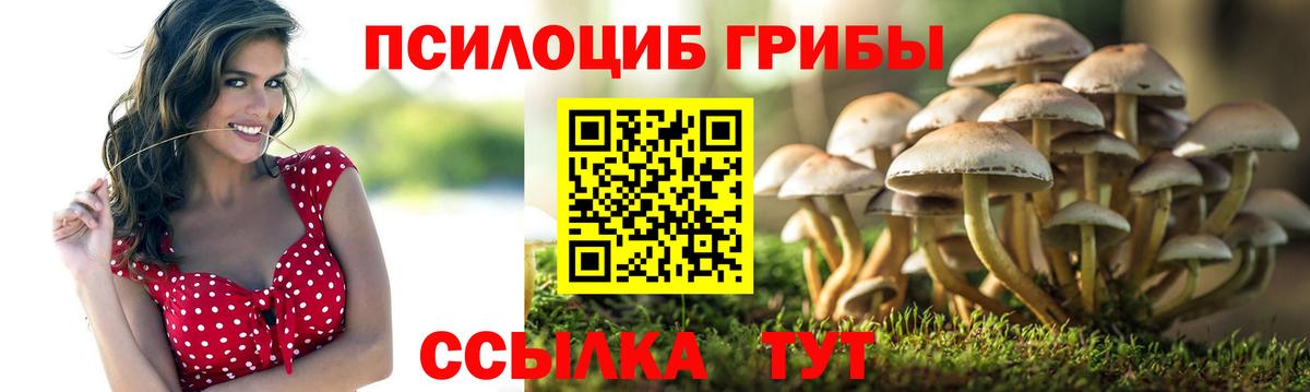 Галлюциногенные грибы ЛСД Кстово